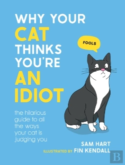 Bertrand.pt - Why Your Cat Thinks You'Re An Idiot