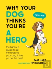 Why Your Dog Thinks You'Re A Hero