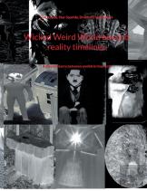 Wicked Weird World Beyond Reality Timelines