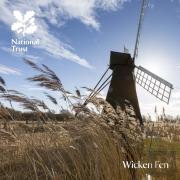 Wicken Fen, Cambridgeshire