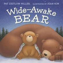Wide-Awake Bear