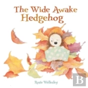Wide-Awake Hedgehog