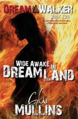 Bertrand.pt - Wide Awake In Dream Land