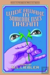 Wide Awake In Someone Else'S Dream