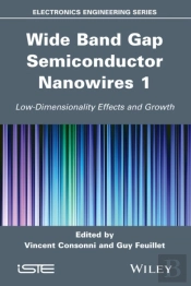 Wide Band Gap Semiconductor Nanowires 1