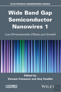 Bertrand.pt - Wide Band Gap Semiconductor Nanowires 1