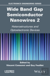 Wide Band Gap Semiconductor Nanowires 2