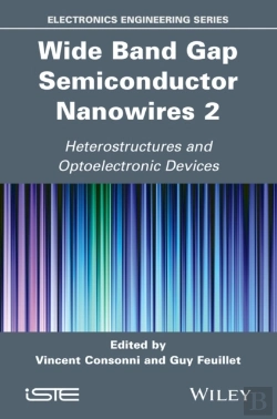 Bertrand.pt - Wide Band Gap Semiconductor Nanowires 2