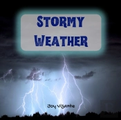 Wild And Amazing Weather Storms