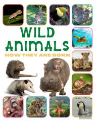 Wild Animals - How They Are Born