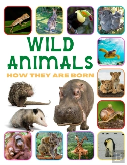 Bertrand.pt - Wild Animals - How They Are Born