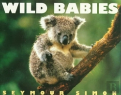 Bertrand.pt - Wild Babies