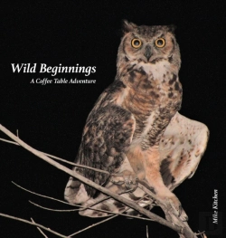 Bertrand.pt - Wild Beginnings