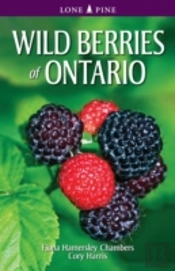 Wild Berries Of Ontario