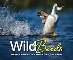 Bertrand.pt - Wild Birds