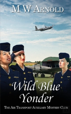 Bertrand.pt - Wild Blue Yonder