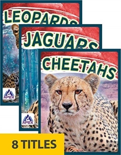 Bertrand.pt - Wild Cats (Set Of 8)