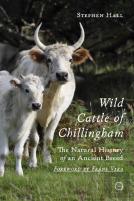 Wild Cattle Of Chillingham