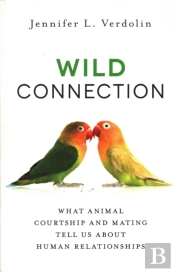 Wild Connection