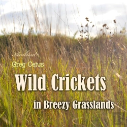 Bertrand.pt - Wild Crickets In Breezy Grasslands
