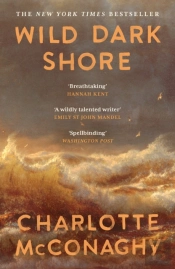 Wild Dark Shore