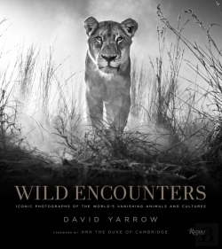 Bertrand.pt - Wild Encounters
