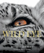 Wild Eye