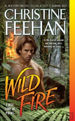 Bertrand.pt - Wild Fire