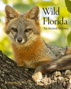 Bertrand.pt - Wild Florida