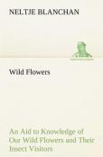 Wild Flowers An Aid To Knowledge Of Our Wild Flowers And Their Insect Visitors