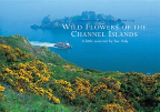 Wild Flowers Of The Channel Islands Little Souvenir