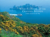 Wild Flowers Of The Channel Islands Little Souvenir