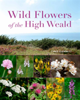 Wild Flowers Of The High Weald