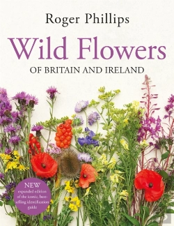 Bertrand.pt - Wild Flowers