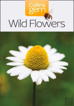 Bertrand.pt - Wild Flowers