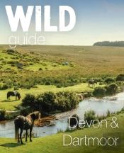 Wild Guide Devon & Dartmoor