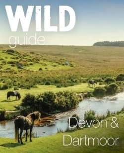 Bertrand.pt - Wild Guide Devon & Dartmoor