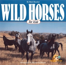 Bertrand.pt - Wild Horses For Kids