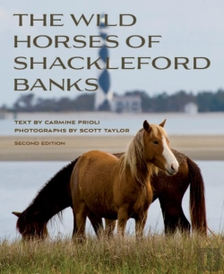 Bertrand.pt - Wild Horses Of Shackleford Banks