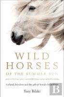 Wild Horses Of The Summer Sun