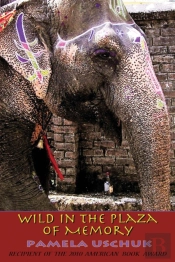 Wild In The Plaza Of Memory