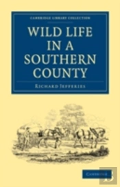 Wild Life In A Southern County