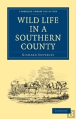Bertrand.pt - Wild Life In A Southern County