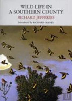 Bertrand.pt - Wild Life In A Southern County