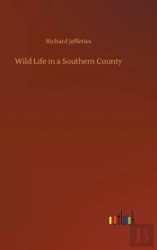Wild Life In A Southern County