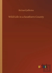 Wild Life In A Southern County