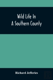 Wild Life In A Southern County