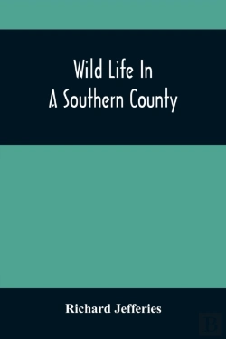 Bertrand.pt - Wild Life In A Southern County