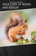 Wild Life In Woods And Fields