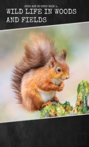 Wild Life In Woods And Fields